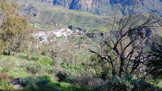 GC-Mirador Las Tirajanas (Tunte) 2026-18.jpg